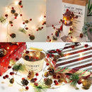 Cordão de Luz com Pinhas – Iluminação Decorativa Natalina