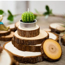 Discos de Madeira Natural – Base para Decoração Artesanal